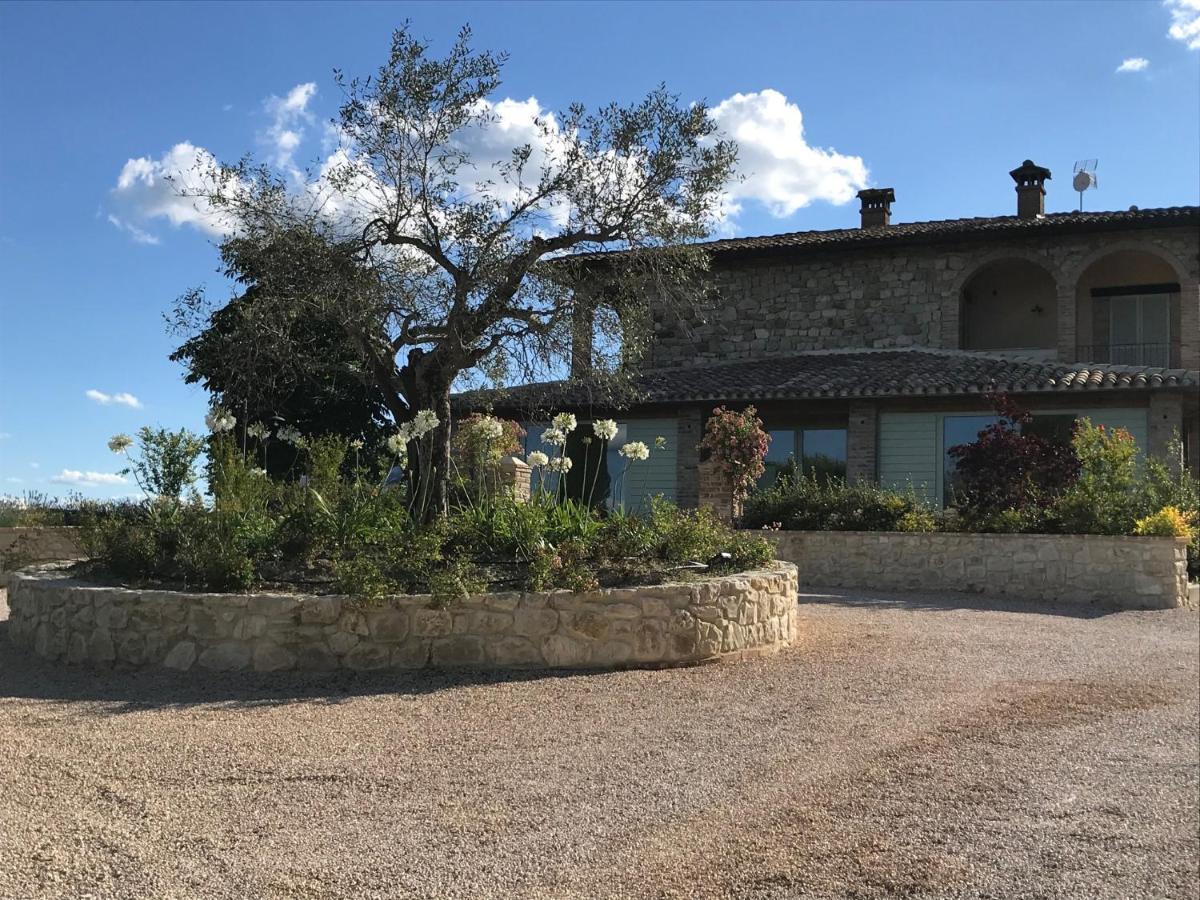 Agriturismo Fattoria Di Monticello San Venanzo Exterior photo